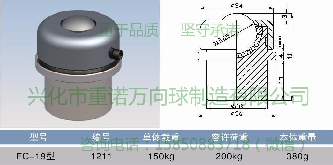 FC-19